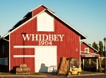 whidbey03
