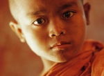 Myanmar Young Monk