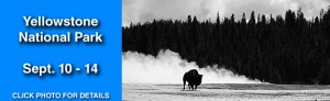 Yellowstone-National-Park-Photography-Workshop