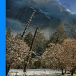 Yosemite-Photo-Workshops